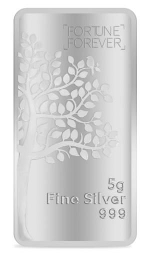 5gm Sliver Bar